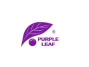Purple Leaf